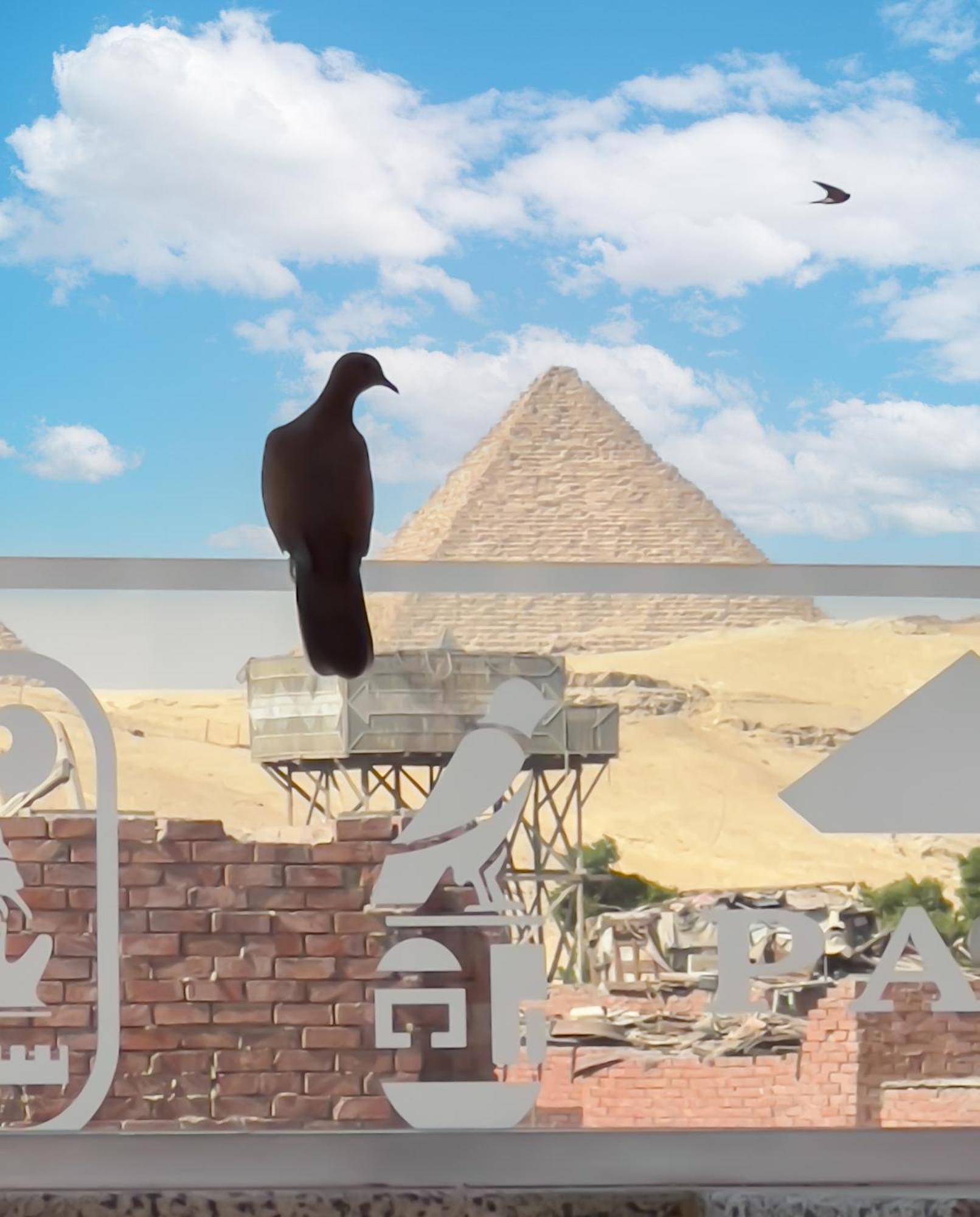Appartement Paradise Pyramids View *